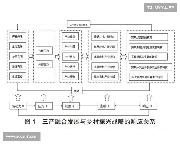 英超品牌战略探索：全球化布局与本土文化融合的双重驱动分析