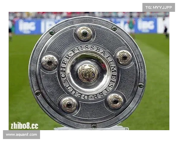 德甲联赛升降级规则解析及对俱乐部竞争格局的影响分析 德甲联赛升降级规则解析及对俱乐部竞争格局的影响分析